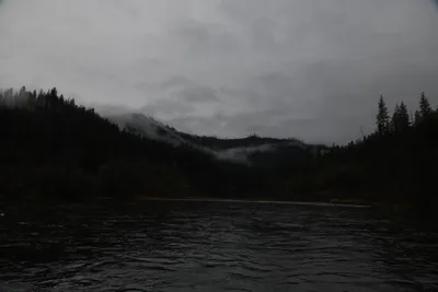 DSC_0160 (Large).JPG